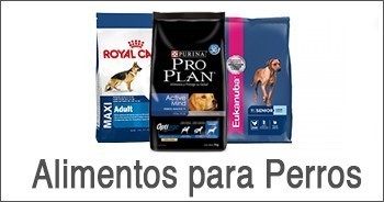 Alimentos para Perros