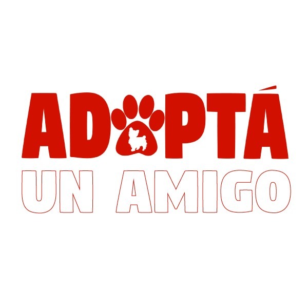 ¿Porqué Adoptar una Mascota Rescatada?